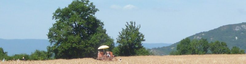 Fondation le Lombric